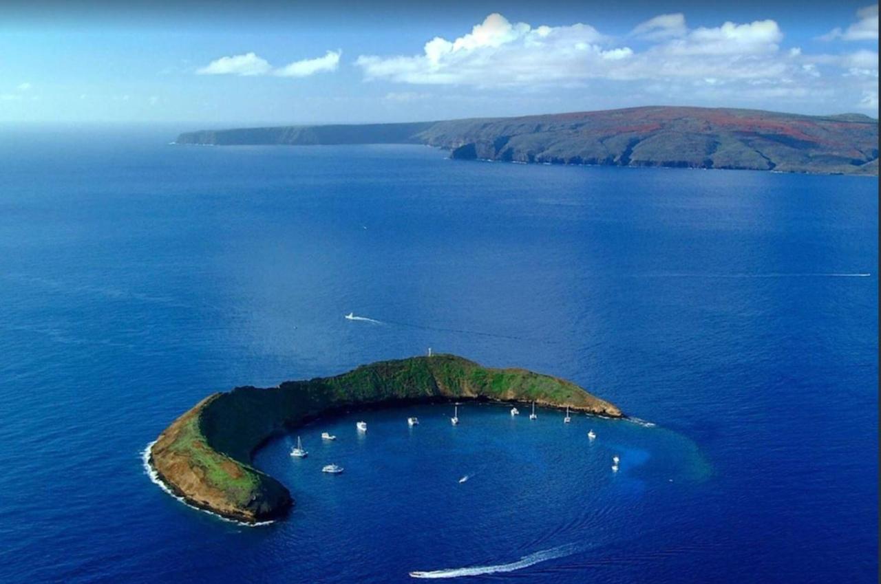 דירות ויילי Tropical Maui Kamaole B-Bldg מראה חיצוני תמונה