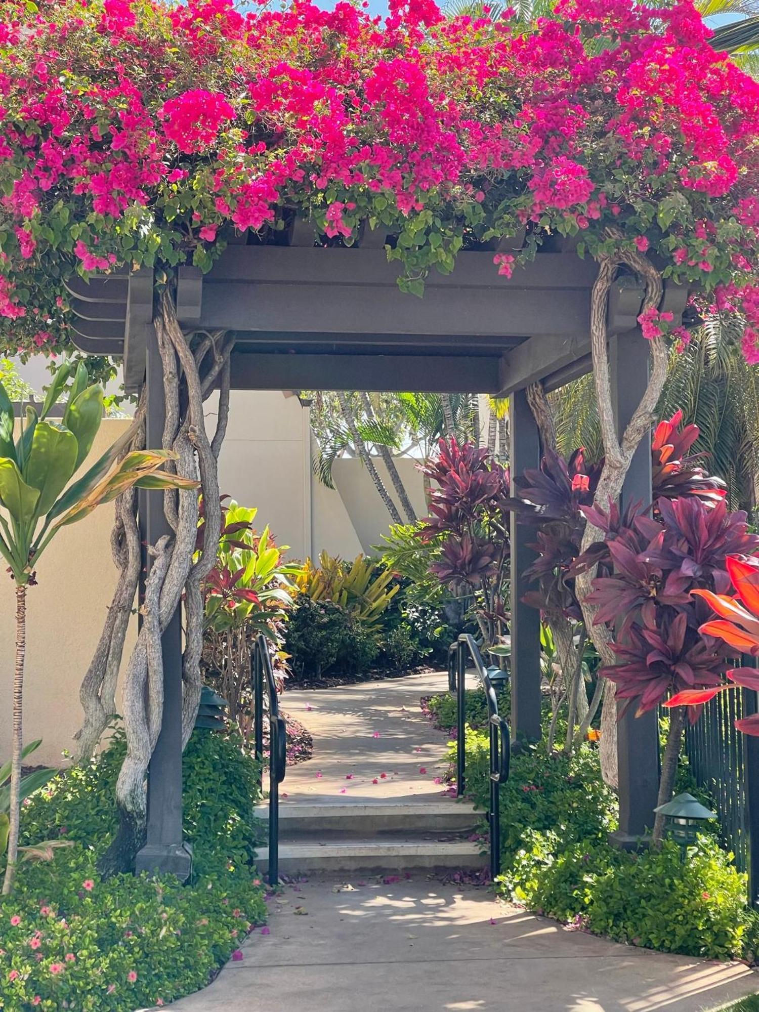 דירות ויילי Tropical Maui Kamaole B-Bldg מראה חיצוני תמונה